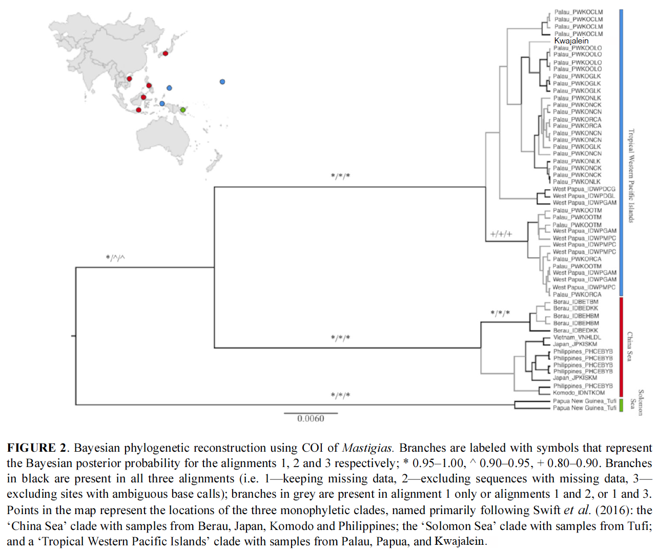 Mastigias phylogeny shows distribution of Mastigias papua, Mastigias albipunctatus